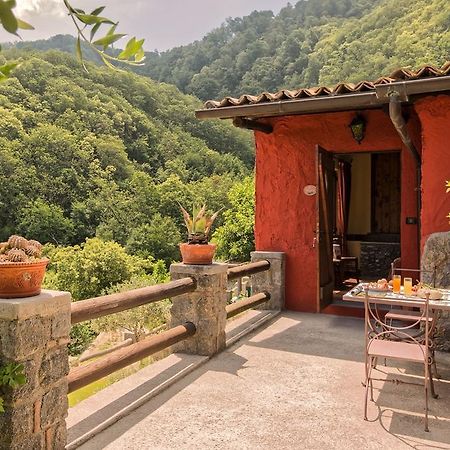 Agriturismo Pera Di Basso Casamicciola Terme Bagian luar foto