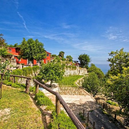 Agriturismo Pera Di Basso Casamicciola Terme Bagian luar foto