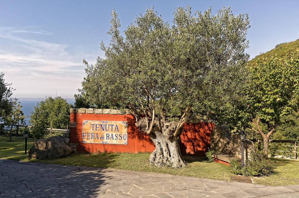 Agriturismo Pera Di Basso Casamicciola Terme Bagian luar foto