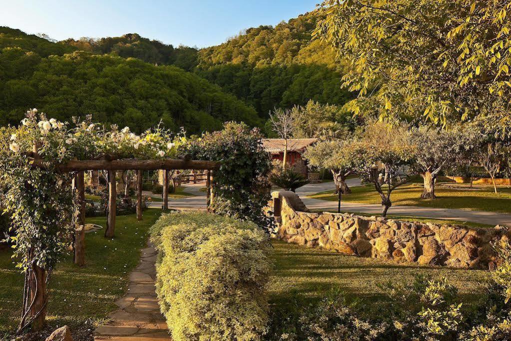 Agriturismo Pera Di Basso Casamicciola Terme Bagian luar foto