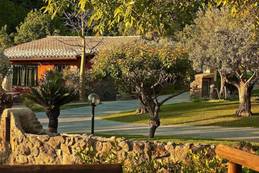Agriturismo Pera Di Basso Casamicciola Terme Bagian luar foto