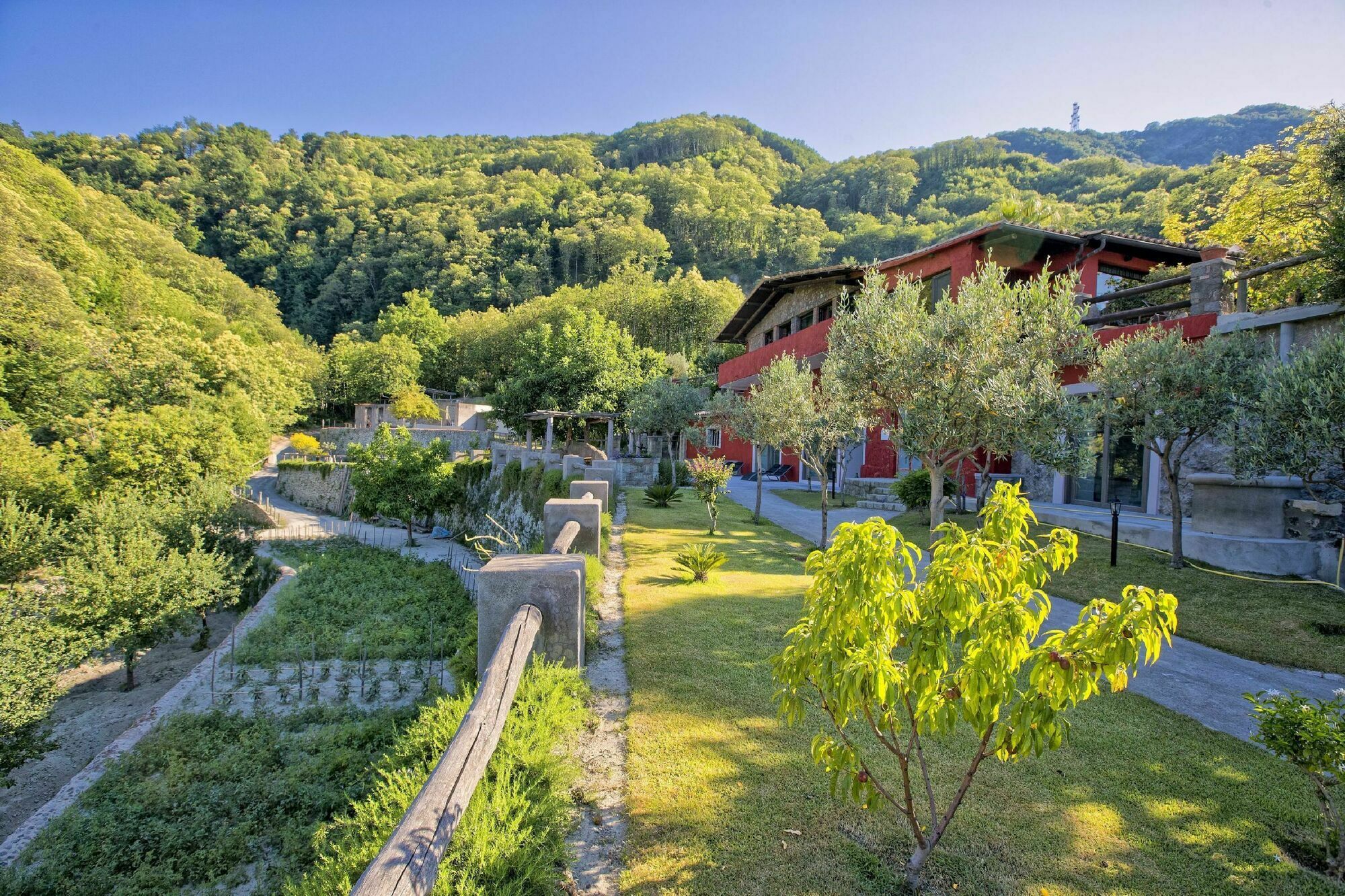 Agriturismo Pera Di Basso Casamicciola Terme Bagian luar foto